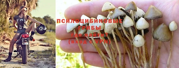 тгк Михайловск