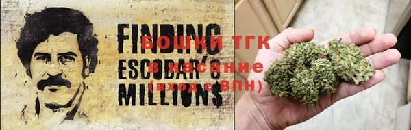 тгк Михайловск