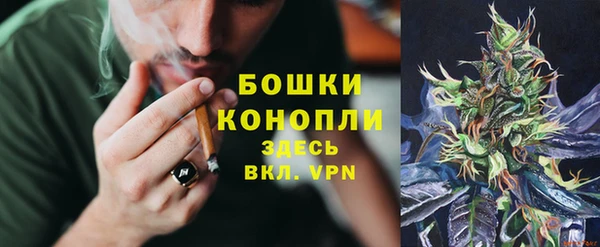 тгк Михайловск